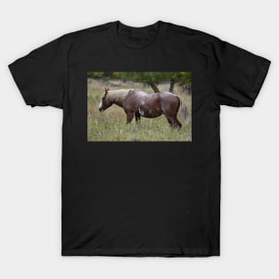 Wild Horse T-Shirt